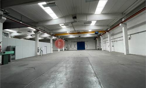 CAPANNONE CON AREA CORTILIVA PRIVATA